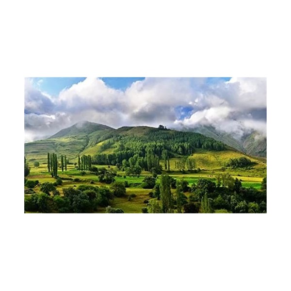 Puzzle 70 Pièces Puzzle Éducatif Jeu de Famille Forêt Verte Cadeau pour Adultes et Enfants-20x15cm 7.87x5.90inch 