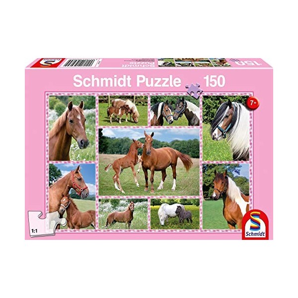 Schmidt Spiele Non Rêves de Chevaux, 150 pcs, 56269, Multicolore