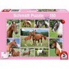 Schmidt Spiele Non Rêves de Chevaux, 150 pcs, 56269, Multicolore