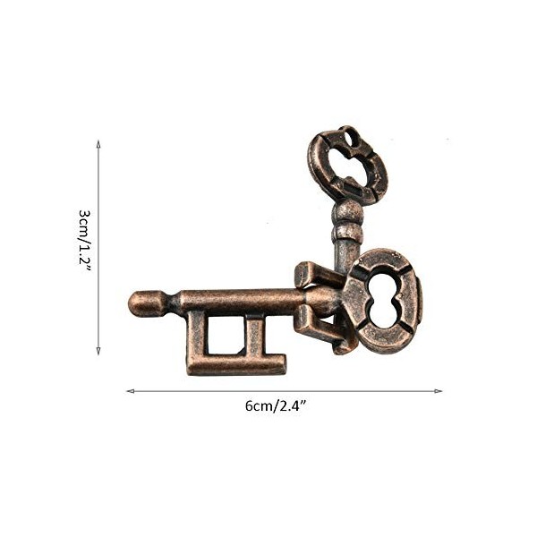 Fdit Puzzles Casse-tête, Jouets éducatifs Puzzles desprit Puzzles en Bois et en Métal Adulte Intelligent Puzzle Boucle de Ve