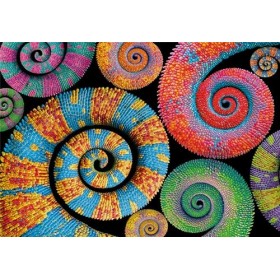 Clementoni Colorboom Collection – Curly Tails – 500 pièces Gradient, Puzzle Couleurs, Horizontal, Divertissement pour Adultes