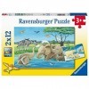 Ravensburger- Tierkinder Aus Aller Welt Tiere 05095 Puzzle pour Enfants-2 x 12 pièces, Jaune