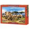 Castorland - C-103188-2 - Puzzle - Matin sur Kilimanjaro - 1000 Pièces