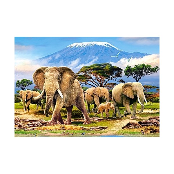 Castorland - C-103188-2 - Puzzle - Matin sur Kilimanjaro - 1000 Pièces