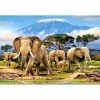 Castorland - C-103188-2 - Puzzle - Matin sur Kilimanjaro - 1000 Pièces