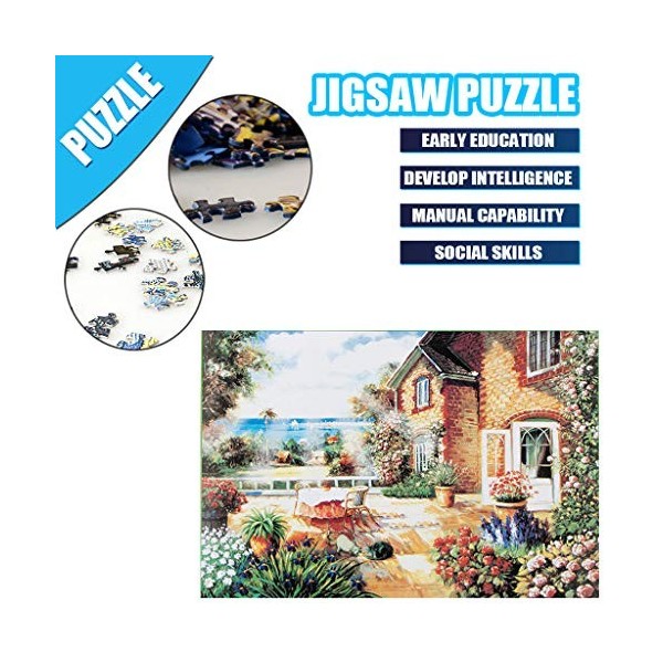 Dinglong Puzzles pour Adultes 1000 pièces Grand Puzzle - Jardin de Clara - Puzzle Paysage Peintures