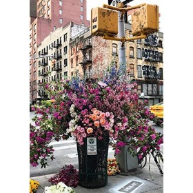Ravensburger - Puzzle adulte - Puzzle Moment 300 p - New York fleuri - 12964