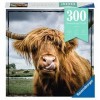 Ravensburger - Puzzle adulte - Puzzle Moment 300 p - Highland Cattle - 13273