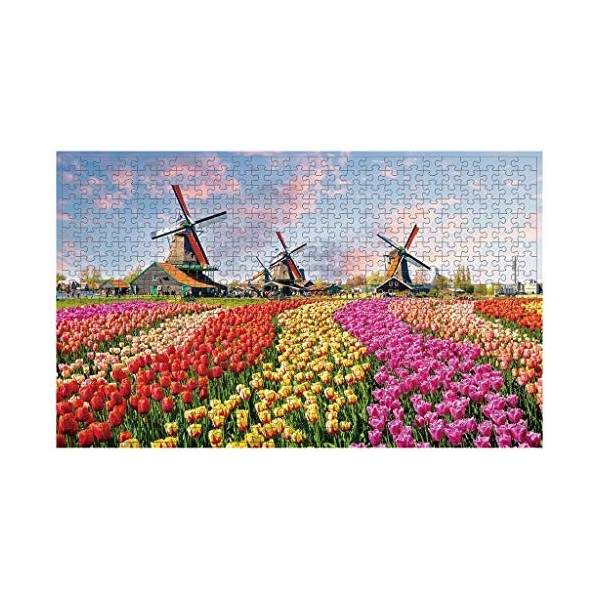 Ridicolo Puzzle de 500 pièces Moulin à vent hollandais pour adultes et enfants à partir de 12 ans Portsmouth Puzzle Jeu éduca