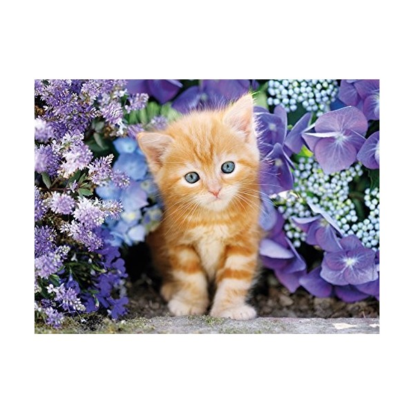 Clementoni - 30415.8 - Puzzle - Chat roux dans les fleurs - 500 Pièces