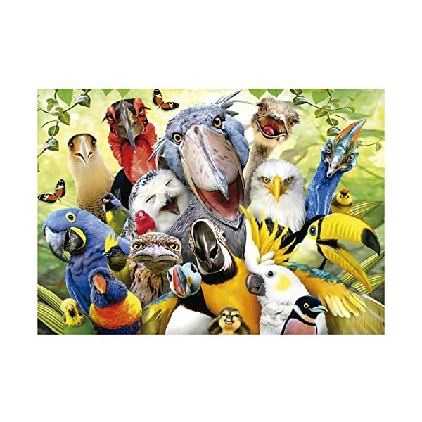 Educa - Le Petit Oiseau Va Sortir | 500 pièces Puzzle. Mesure : 48 x 34 cm. Comprend Fix Puzzle Tail pour laccrocher Une Foi