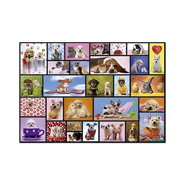 Educa - Moments Partagés. Puzzle Classique 1000 pièces. Ref. 15518