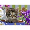 Ravensburger - 08971 0 - Puzzle - Adorables Amis - 2 x 24 Pièces