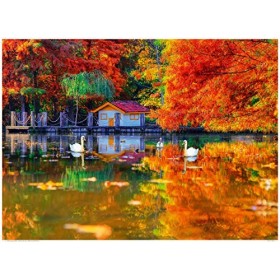 KING - 55882 - Puzzle - Petite Maison au Lac - 1000 Pièces - Couleur Pleine - 68 x 49 cm