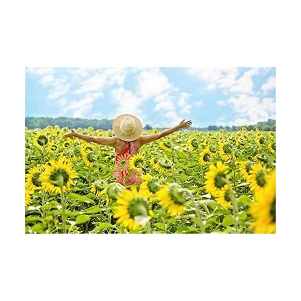 98 Piece Jigsaw Puzzle Puzzle éducatif Jeu de Famille Beau Lever de Soleil Cadeau pour Adultes et Enfants-20x29cm 7.87x11.41i