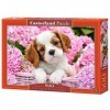 Castorland - B-52233 - Puzzle - Chiot dans Fleurs Roses - 500 Pièces