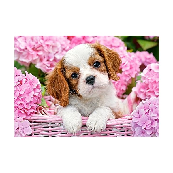 Castorland - B-52233 - Puzzle - Chiot dans Fleurs Roses - 500 Pièces