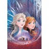 Clementoni Play For Future-Disney La Reine des Neiges 2-104 pièces-puzzle enfant-matériaux 100% recyclés-fabriqué en Italie, 