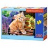 Castorland - B-018178 - Puzzle - Chats Bébé - 180 Pièces