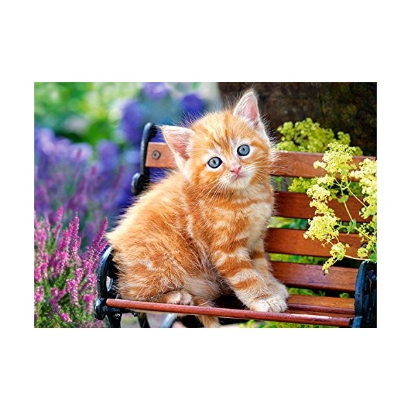 Castorland - B-018178 - Puzzle - Chats Bébé - 180 Pièces