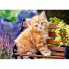 Castorland - B-018178 - Puzzle - Chats Bébé - 180 Pièces