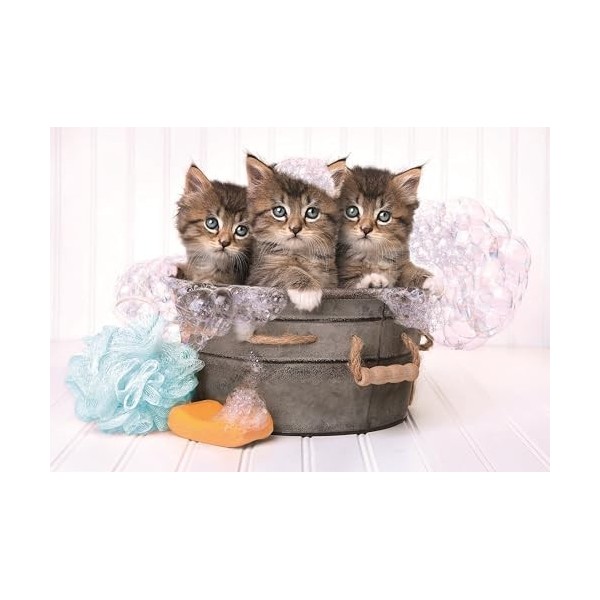 Clementoni Italy Lovely Kittens-180 pièces-Puzzle Enfant-fabriqué en Italie, 7 Ans et Plus, 29109, No Color