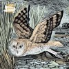 Adult Jigsaw Angela Harding - Marsh Owl: 1000 Piece Jigsaw