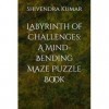 Labyrinth of Challenges: A Mind-Bending Maze Puzzle Book