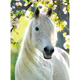 Ravensburger - Puzzle Adulte - Puzzle 500 p - Charmante jument - 14726