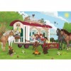 Schmidt Spiele 56463 Horse Club Jeu de 100 pièces avec Module complémentaire pour Enfants, Coloré