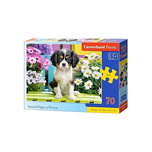 Castorland B-070053 Spandeiel Poupée Flower 70 Pièces Puzzle Multicolore