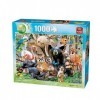 KING- Puzzle 1000 pcs, 5484, Multicolore