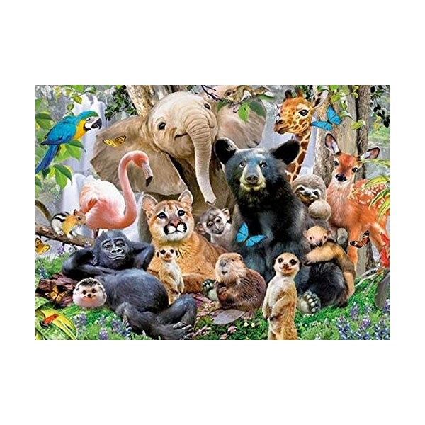 KING- Puzzle 1000 pcs, 5484, Multicolore