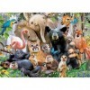 KING- Puzzle 1000 pcs, 5484, Multicolore