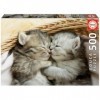 Educa - Puzzle de 500 pièces pour Enfants et Adultes | Doux Chatons. Mesure: 48 x 34 cm. Comprend Fix Puzzle Tail pour laccr