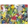 Educa - Perroquets | 500 pièces Puzzle. Mesure : 48 x 34 cm. Comprend Fix Puzzle Tail pour laccrocher Une Fois lassemblage 