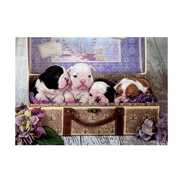 Educa - Puzzle de 500 pièces pour Enfants et Adultes. Chiots. Mesure: 48 x 34 cm. Comprend Fix Puzzle Tail pour laccrocher U