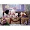 Educa - Puzzle de 500 pièces pour Enfants et Adultes. Chiots. Mesure: 48 x 34 cm. Comprend Fix Puzzle Tail pour laccrocher U