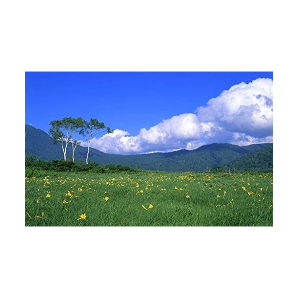 Challenge Puzzle 500 pièces pour enfants et adultes Ciel bleu et nuage blanc Paysage de prairie Puzzle épais, chaque pièce es