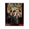 Aquarius- Harry Potter Puzzle, 65291, Multicolore