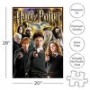 Aquarius- Harry Potter Puzzle, 65291, Multicolore