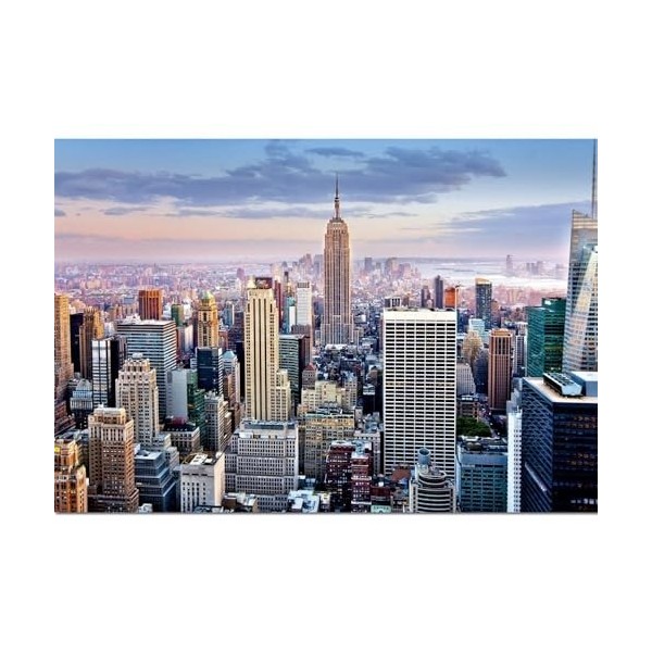 EDUCA BORRAS Does Not Apply Puzzle Manhattan Nueva York 1000pzs, 14811, Multicolour, One Size