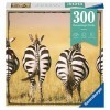 Ravensburger - Puzzle Adulte débutant - Puzzle Moment - 300 pièces - Zèbres - Activité détente - Cadeau adulte - Puzzle de qu