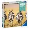 Ravensburger - Puzzle Adulte débutant - Puzzle Moment - 300 pièces - Zèbres - Activité détente - Cadeau adulte - Puzzle de qu