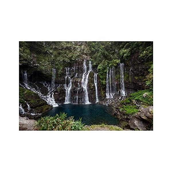 1000 pièces Cascade Grand Galet à Langevin Ile de la Réunion Iles des Mascareignes Grandes pièces de Puzzle pour Adultes Joue