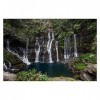 1000 pièces Cascade Grand Galet à Langevin Ile de la Réunion Iles des Mascareignes Grandes pièces de Puzzle pour Adultes Joue