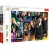 Trefl - Harry Potter Le Monde des Sorciers - 1000 Pièces, Puzzle avec des Héros, Ron, Hermione, Poudlard, Puzzle, Divertissem