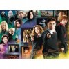 Trefl - Harry Potter Le Monde des Sorciers - 1000 Pièces, Puzzle avec des Héros, Ron, Hermione, Poudlard, Puzzle, Divertissem