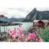 Ravensburger - Puzzle Adulte - Puzzle 1000 p - Reine, Lofoten, Norvège Puzzle Highlights - 16740