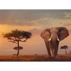 Ravensburger - Puzzle Adulte - Puzzle 500 p - Éléphant dAfrique - Adultes et enfants dès 12 ans - Puzzle de qualité supérieu